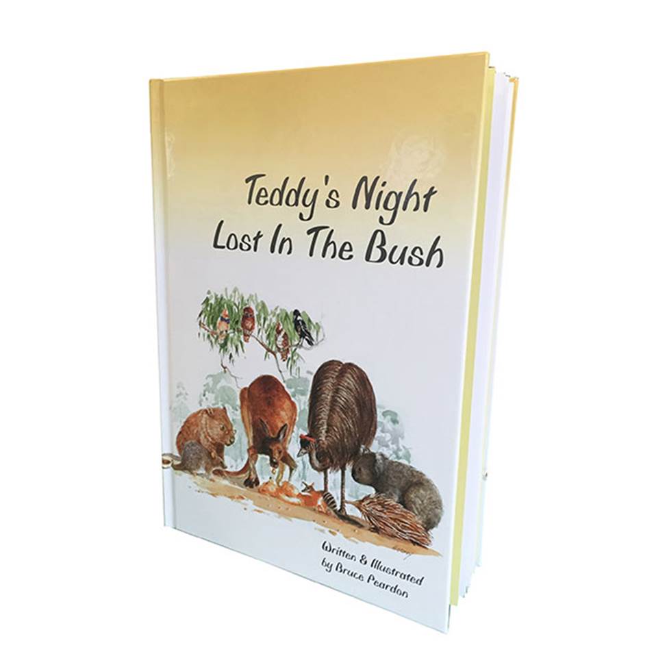 Children's Book - Teddy's Night Lost In The Bush